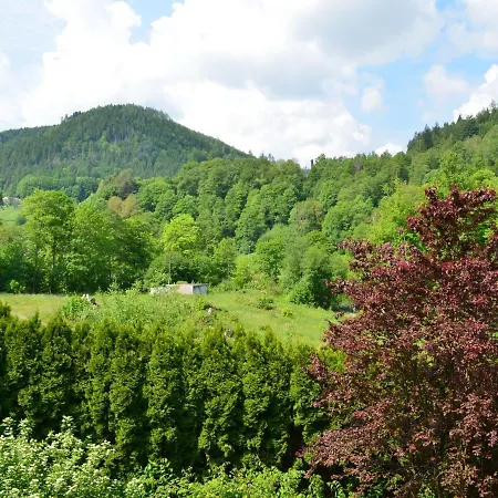 Appartement Wohnen Am Kurpark Bad Wildbad Extérieur photo