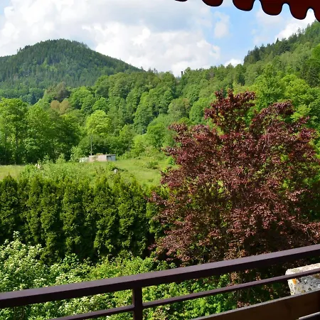 Appartement Wohnen Am Kurpark Bad Wildbad Extérieur photo
